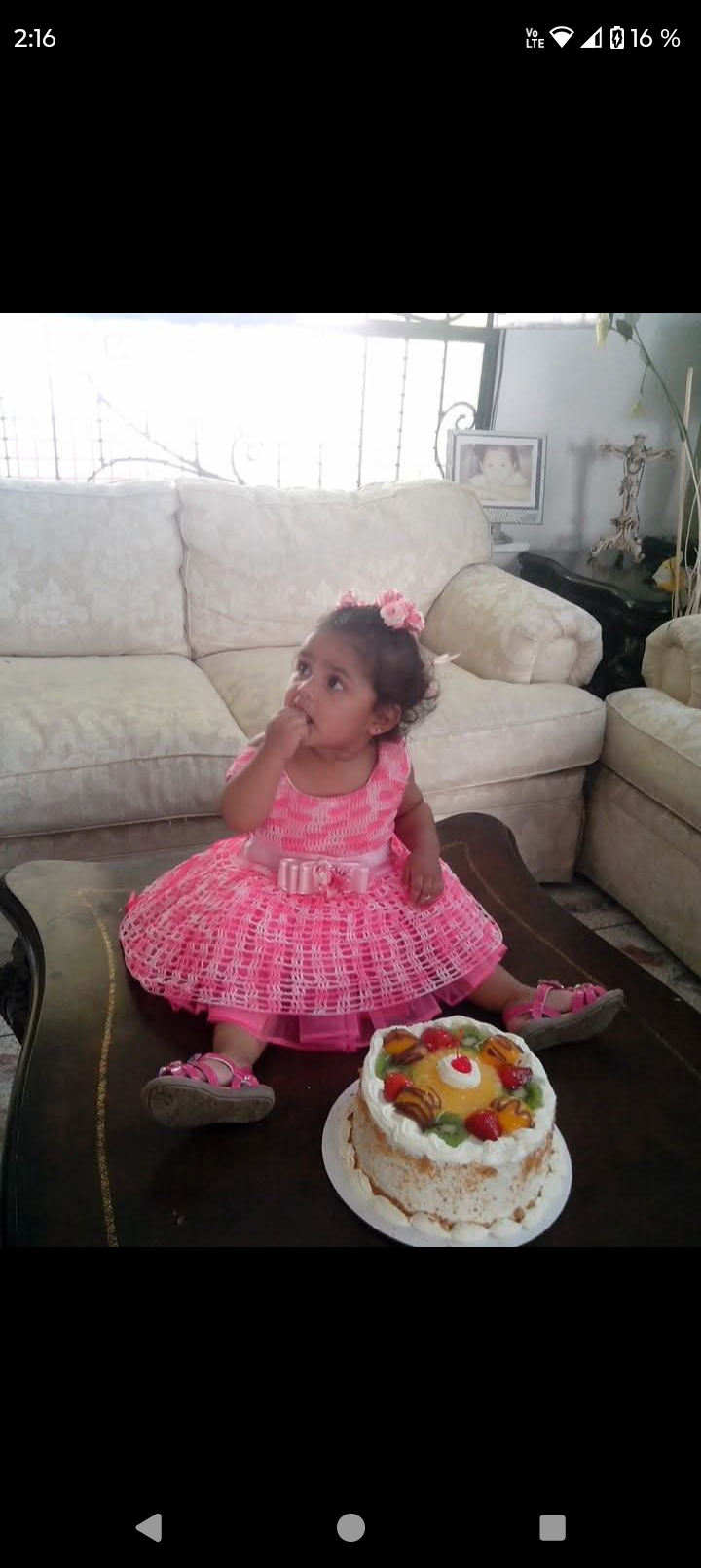 Mi primer año