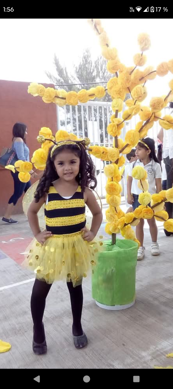 Mis 4 años y mi primer festival de abejita
